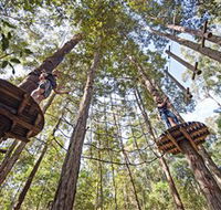 TreeTop Adventure Park Central Coast - Accommodation Whitsundays