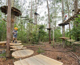 TreeTop Adventure Park Central Coast - Accommodation Whitsundays 1