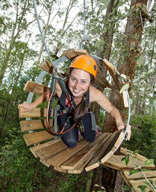 TreeTop Adventure Park Central Coast - Accommodation Whitsundays 3