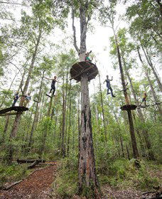 TreeTop Adventure Park Central Coast - Accommodation Whitsundays 4