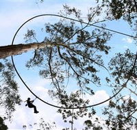 TreeTops Crazy Rider - Accommodation Whitsundays