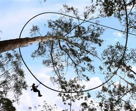 TreeTops Crazy Rider - Accommodation Whitsundays 0