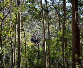 TreeTops Crazy Rider - Accommodation Whitsundays 3