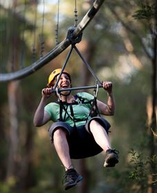 TreeTops Crazy Rider - Accommodation Whitsundays 2