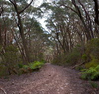 Budawang National Park - Accommodation Whitsundays