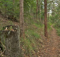 Border loop walk - Accommodation Whitsundays