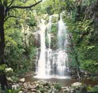 Budderoo National Park - The Falls Walk - Accommodation Whitsundays