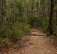 Pigeon House Mountain Didthul walking track - Accommodation Whitsundays