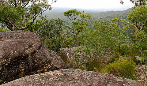 Pigeon House Mountain Didthul Walking Track - Accommodation Whitsundays 1