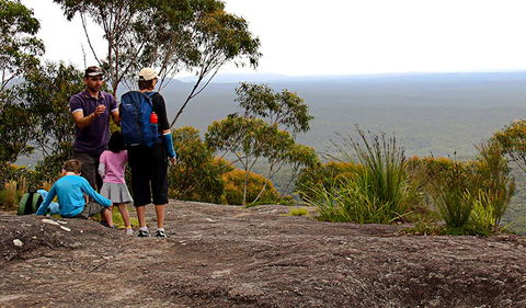 Pigeon House Mountain Didthul Walking Track - Accommodation Whitsundays 2