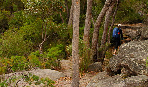 Pigeon House Mountain Didthul Walking Track - Accommodation Whitsundays 3