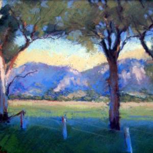 Galleries In The Gardens - Accommodation Whitsundays 4