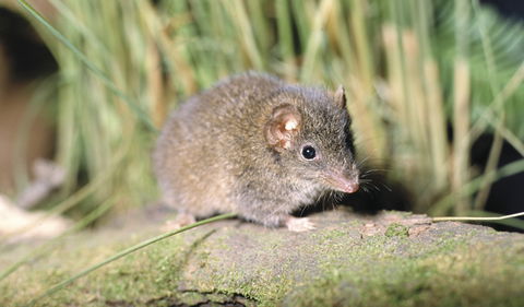 Munmorah State Conservation Area - Accommodation Whitsundays 0