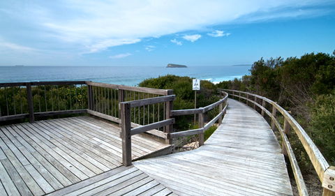 Tea Tree Picnic Area And Lookout - Accommodation Whitsundays 0