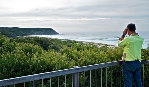 Tea Tree Picnic Area And Lookout - Accommodation Whitsundays 2
