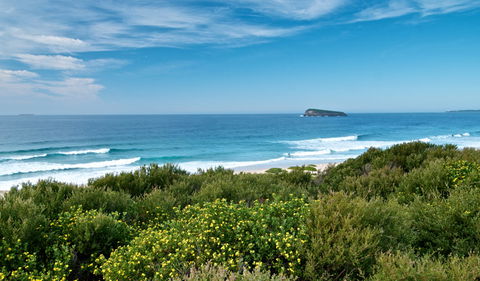 Tea Tree Picnic Area And Lookout - Accommodation Whitsundays 3