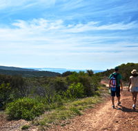 Moonee Beach trail - Accommodation Whitsundays