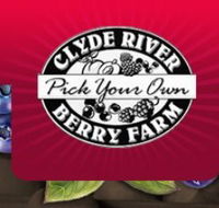 Clyde River Berry Farm - Accommodation Whitsundays