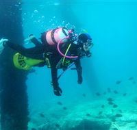 Shellharbour Scuba  Photography Centre - Accommodation Whitsundays