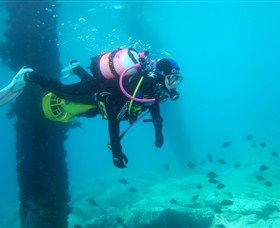Shellharbour Scuba & Photography Centre - Accommodation Whitsundays 0