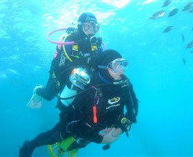 Shellharbour Scuba & Photography Centre - Accommodation Whitsundays 1