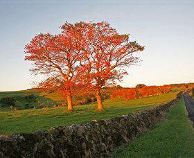 Saddleback Mountain Lookout - Accommodation Whitsundays 2