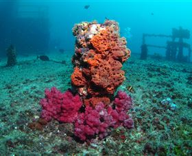 HMAS Brisbane Dive Site - Accommodation Whitsundays 0