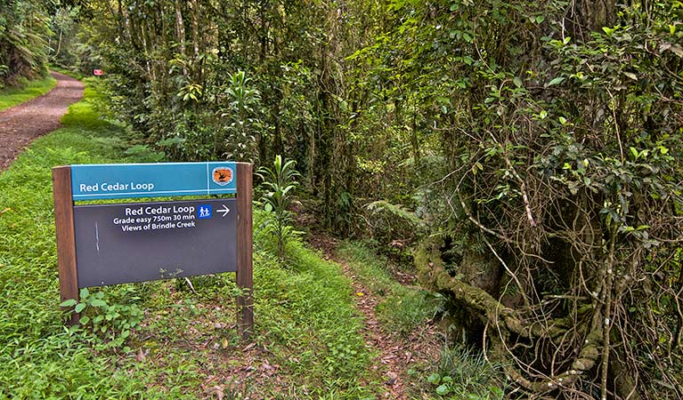 Border Ranges NSW Accommodation Whitsundays