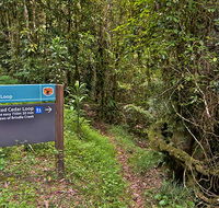 Red Cedar loop - Accommodation Whitsundays