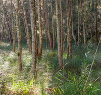 Anabranch loop track - Accommodation Whitsundays