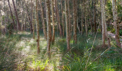Anabranch Loop Track - Accommodation Whitsundays 0
