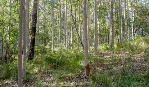 Anabranch Loop Track - Accommodation Whitsundays 2