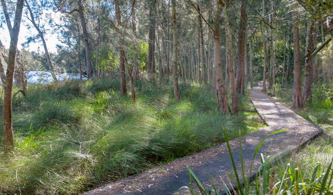 Anabranch Loop Track - Accommodation Whitsundays 3