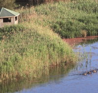 Spring Creek Bird Hide - Accommodation Whitsundays