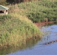 Spring Creek Wetlands Walk - Accommodation Whitsundays