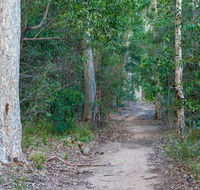 Delta track - Accommodation Whitsundays