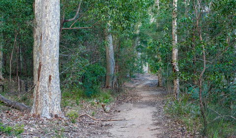 Delta Track - Accommodation Whitsundays 0