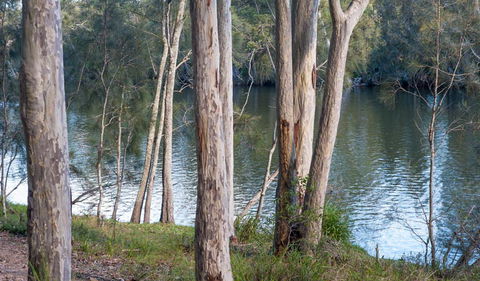 Delta Track - Accommodation Whitsundays 2