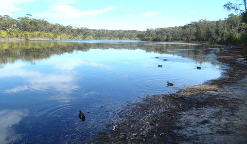 Conjola National Park - Accommodation Whitsundays 1