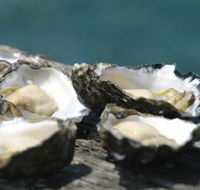 Jim Wilds Oyster Service - Accommodation Whitsundays