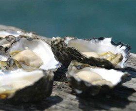 Jim Wilds Oyster Service - Accommodation Whitsundays 0