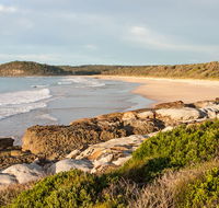 Burrawang track - Conjola Beach to Buckleys Point - Accommodation Whitsundays