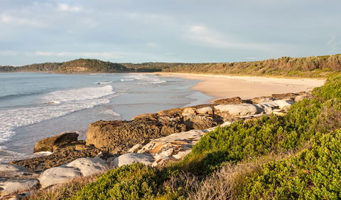 Burrawang Track - Conjola Beach To Buckleys Point - Accommodation Whitsundays 0