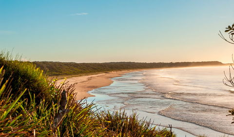 Burrawang Track - Conjola Beach To Buckleys Point - Accommodation Whitsundays 2