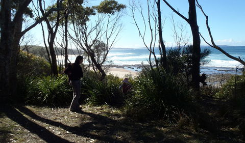 Monument Beach Picnic Area - Accommodation Whitsundays 2