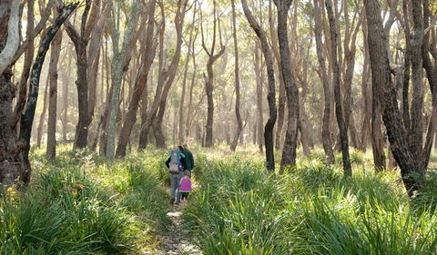 Nerindillah Lagoon Walking Track - Accommodation Whitsundays 3