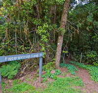 Falcorostrum loop walking track - Accommodation Whitsundays
