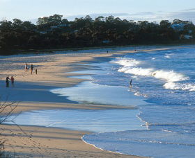 Mollymook Beach - Accommodation Whitsundays 1