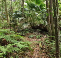 Durras Lake Discovery trail - Accommodation Whitsundays