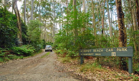 Depot Beach Rainforest Walk - Accommodation Whitsundays 1